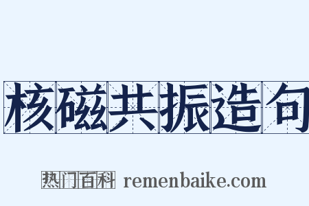 核磁共振造句是什么意思的图片